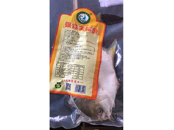 强竞金鲳鱼