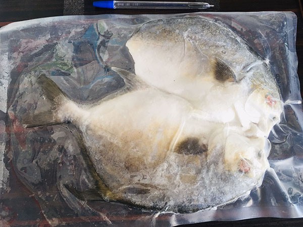 开边金鲳鱼9两